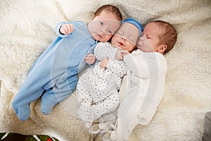 Portrait of newborn triplets