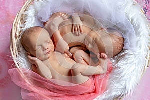 Portrait of newborn twins sleeping in a basket on a pink bright background, Yin Yang, sleep of newborn babies