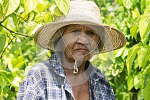 Portrait Old Asian Women