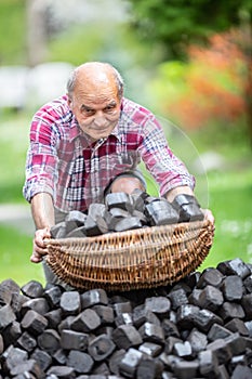 Portrait of an old man picking up a basket full of coal briquettes from a pile in the backyard