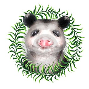 Portrait of Opossum in grass
