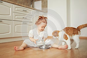 Cute ginger kitten drinking milk on the floor isolated on white background