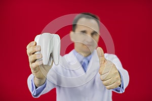 Portrait of a orthodontist holding a tooth model, isolated on red background