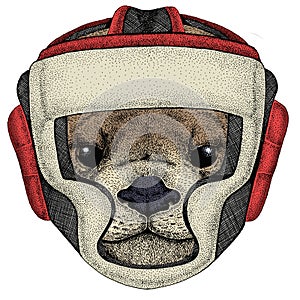 Portrait of otter. Cute animal head. Boxing helmet.