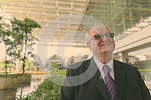 Portrait of overweight senior businessman at the airport