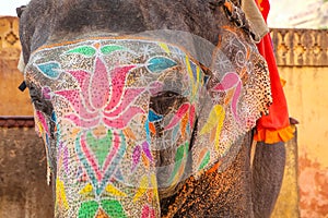 Portrait of painted elephant walking up to Amber Fort near Jaipur, Rajasthan, India