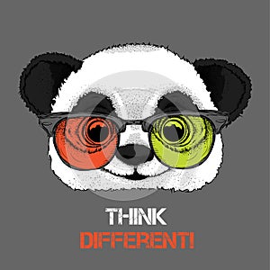 Portrait of the panda in the colored glasses. Think different. Vector illustration.