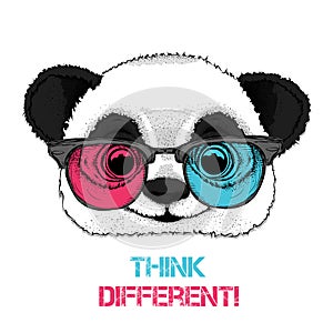 Portrait of the panda in the colored glasses. Think different. Vector illustration.