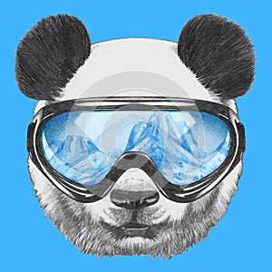 Portrait of Panda with ski goggles.
