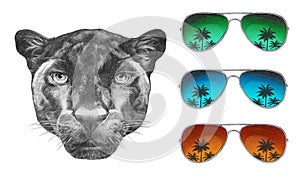 Portrait of Panther with mirror sunglasses.