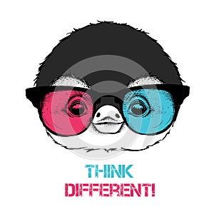 Portrait of the penguin in the colored glasses. Think different. Vector illustration.