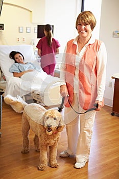 Portrait Of Pet Therapy Dog Visiting Female Patient In Hospital