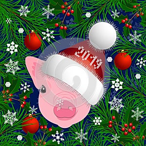 Portrait of a pig. Head in the New Years hat. The frame of the branches of the Christmas tree and holly. Christmas toys,