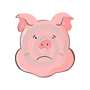 Portrait of a pig. Piglet head with emotion. Cute piggy saddy. Zodiac symbol 2019