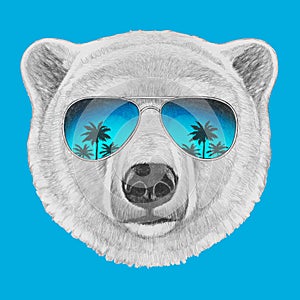 Portrait of Polar Bear with mirror sunglasses.