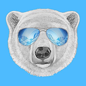 Portrait of Polar Bear with mirror sunglasses.