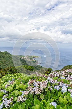 Portrait of Ponta Delgada