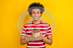 Portrait of positive friendly person hands hold fresh strawberry basket isolated on yellow color background