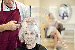 Portrait of positive man hairdresser cutting elderly woman hair in salon