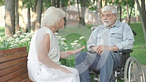 Portrait of positive paralyzed man in wheelchair talking with senior woman in sunny park. Relaxed carefree couple of