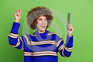 Portrait of positive pretty girl with perming coiffure dressed knit pullover holding curl look at comb isolated on green photo