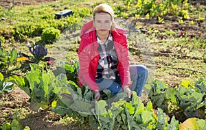 Portrait of positive woman working in homestead, satisfied with growing cabbage