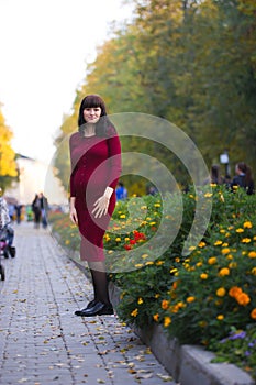 Portrait of Pregnant woman standing in autumn park near flowers