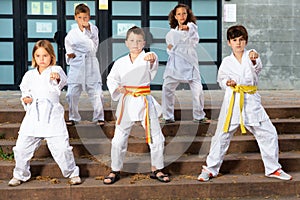 Group of schoolchildren practicing karate at schoolyard photo