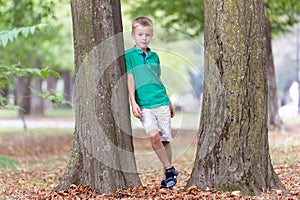 Portrait of a pretty cute child boy standing near big tree trunk in summer park outdoors