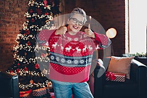 Portrait of pretty friendly aged person toothy smile hands fingers demonstrate thumb up decorated tree lights house