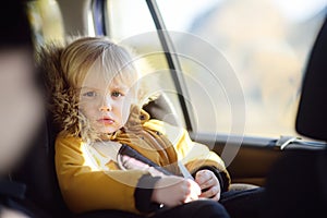 Portrait of pretty little boy sitting in car seat during roadtrip or travel. Family car travel with kids
