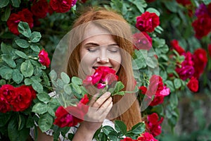 Portrait of a pretty redhead girl dressed in a white light dress on a background of blooming roses. Outdoor