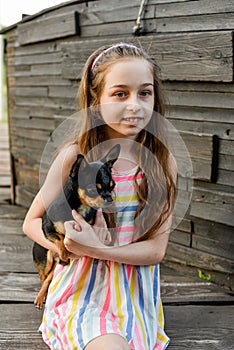 The child spending time with her pet. Little girl with chihuahua dog on the background of a wooden backdrop