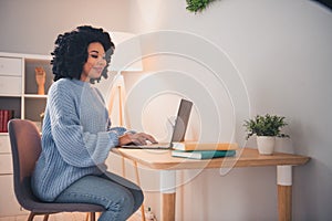 Portrait of pretty young lady wear sweater use laptop desk coworking home office indoors