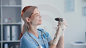 portrait of a professional female veterinarian with small rat in her hands during examination in a medical office