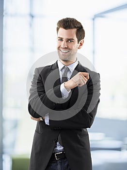 Portrait of professional smiling businessman