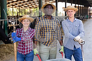 Portrait of proffesional workers posing on cow farm