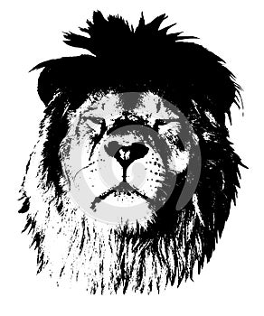 Portrait of a proud lion. Graphics on a white background.
