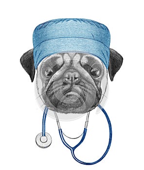 Portrait of Pug Dog with doctor cap and stethoscope. Hand-drawn illustration.