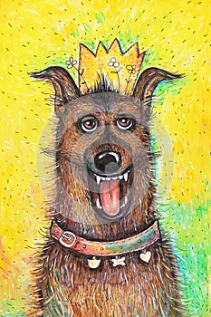 Portrait of the Queen`s birthday dog on a yellow background