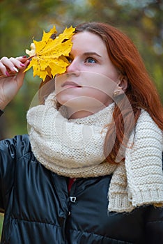 Portrait of a red - haired smiling girl in a jacket and scarf with maple leaves in her hand . against the background of autumn