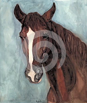 Portrait of a red horse of the Trakenen breed