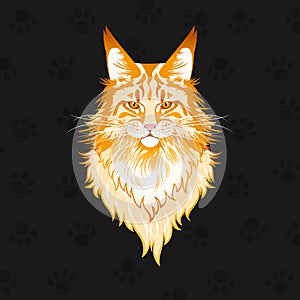 Portrait of a Red Maine Coon Cat