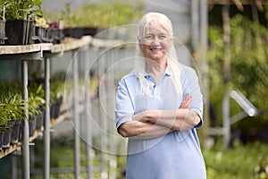 Portrait Of Retired Senior Woman Working Part Time Job In Garden Centre Checking Plants In Greenhouse Or Polytunnel