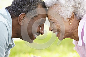Portrait Of Romantic Senior African American Couple In Park