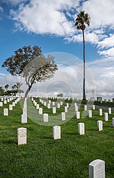 Portrait rows of tombstones, Rosecrans Cemetery, San Diego, CA, USA