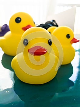 Portrait of a rubber toy duck floating on a fluid art picture. yellow floating bird for games with children and adults.