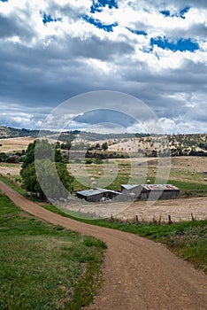 Portrait of Rural landscape with farm around Richmond, Tasmania, Australia