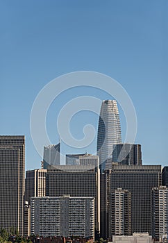 Portrait, Salesforce tower peeks above others, San Francisco, CA, USA