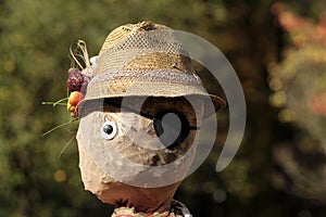Portrait of the scarecrow